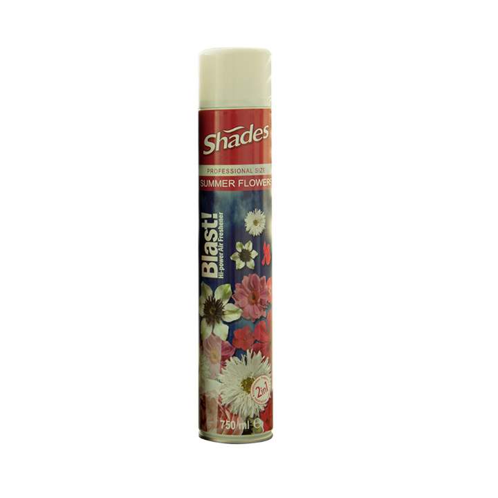 BLAST AIR FRESHNER CITRUS SQUEEZE